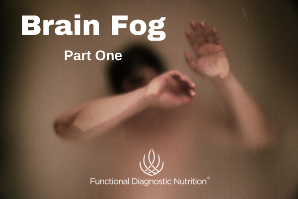 Brain Fog Part 1 Functional Diagnostic Nutrition