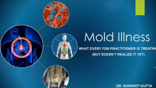 Mold Illness With Dr. Sandeep Gupta - Functional Diagnostic Nutrition