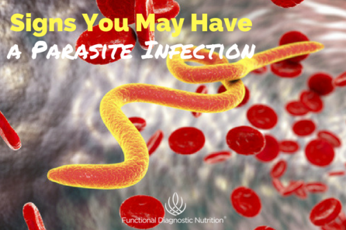 Signs You May Have a Parasite Infection (VIDEO) - Functional Diagnostic ...