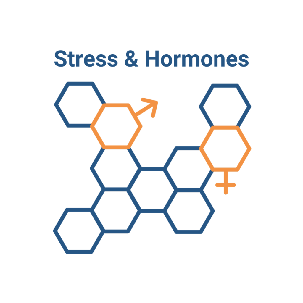 Fdn Advanced Stress And Hormones Functional Diagnostic Nutrition