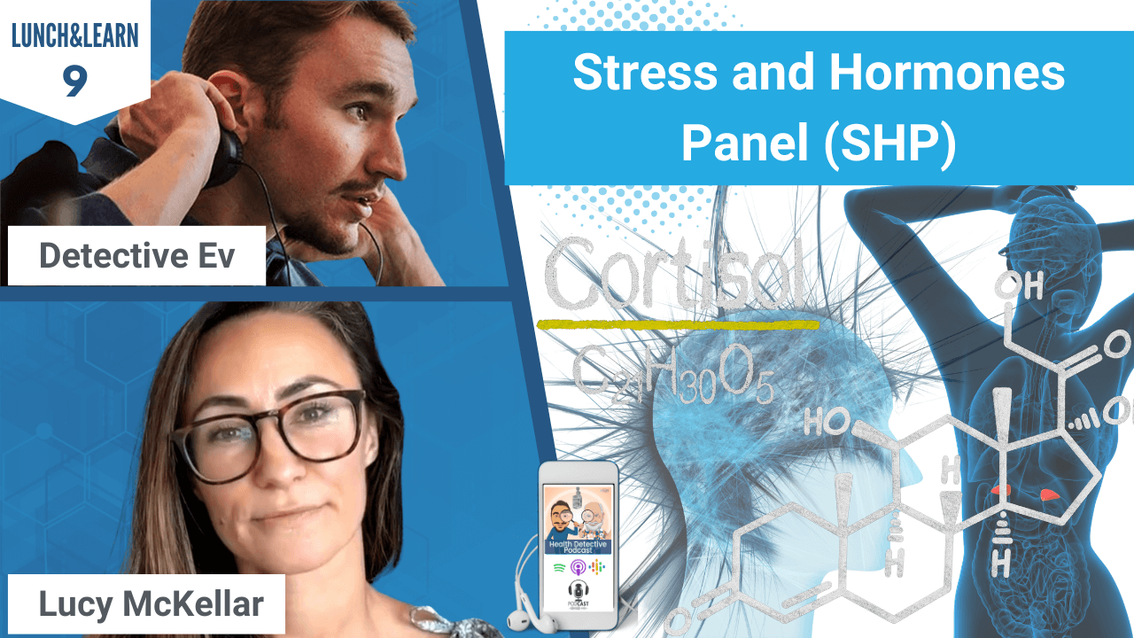 STRESS AND HORMONES PANEL, STRESS, HORMONES, SHP, HORMONE, ADRENALS, CORTISOL, HPA AXIS DYSFUNCTION, HPA AXIS, LUCY MCKELLAR, DETECTIVE EV, EVAN TRANSUE, FDN, FDNTRAINING, LUNCH&LEARN