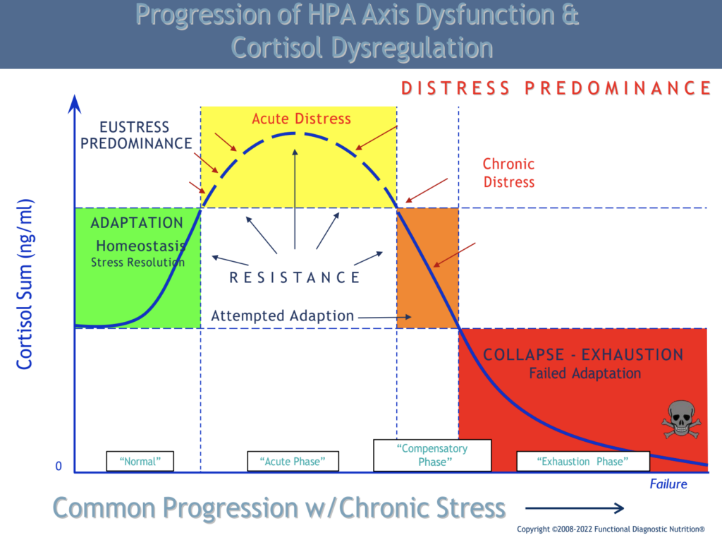 stress & hormones lab test 